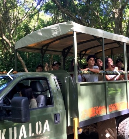 click to go to website